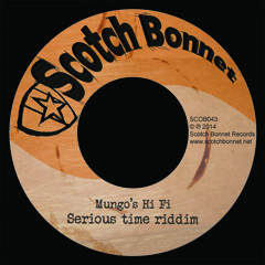 Mungo's Hi Fi - Serious Time Riddim Megamix [SCOB042-43]