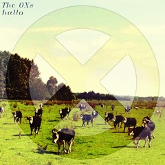 [TNR-037] The OXs (the Washing In The Mix Of) Meat Pie (From hallo)
