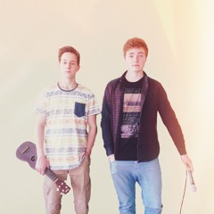 Mumfords and Sons - Little Lion Man (Cover)