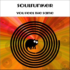 Soulfunker - You Feel The Same (Original Mix) / preview [SpinCat Records]
