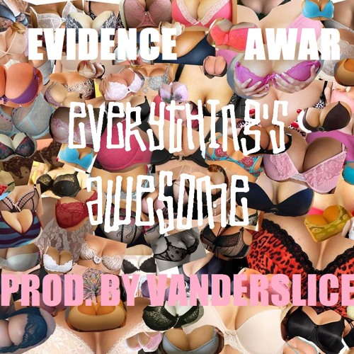 Evidence & Awar - Everything's Awesome