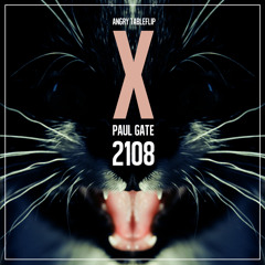 ∆NGRY ΠABLEFLIP x PAUL GATE - 2108