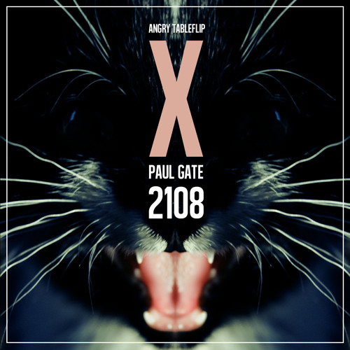 ∆NGRY ΠABLEFLIP x PAUL GATE - 2108