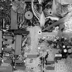 Tomorrow with Confidence