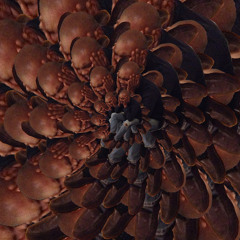 Bourbon and Coffee - Artful Knobs (guest poet Fred Polone)