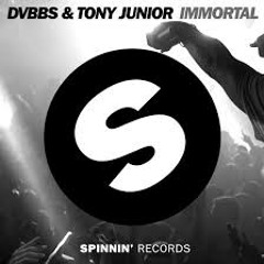 DVBBS & Tony Junior - Immortal (VRMR Big Room Drop)
