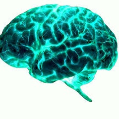 W.I.M.M - GOBSHITE AND DISEBEATS - FREE DOWNLOAD