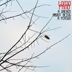 A DREAM ABOUT BEING A PERSON