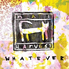 Nai Harvest - "Whatever"