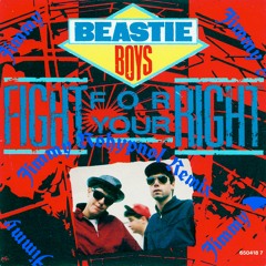 Beasty Boys-Fight For You Right(Nastyz Remix)