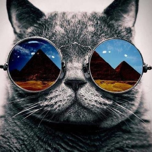 Stream Facking Happy Tek Coy (Free DL) by Coy Listen online for Stream Facking Happy Tek Coy (Free DL) by Coy Listen online for