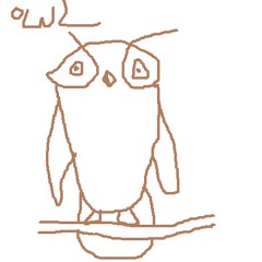 I Don't Know Why But I Wish I Was An Owl (lyrics in description)