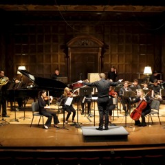 Double Concerto (2014) for Two Horns and Chamber Orchestra