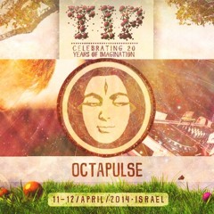 Zion 604 | Octapulse Dj Set @ T.I.P Festival | April 2014