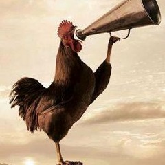 الشيخ سيد النقشبندي     يارب كرمك علينا  يارب نصرك معانا