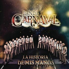Banda Carnaval 2014   De Profesión Amarte