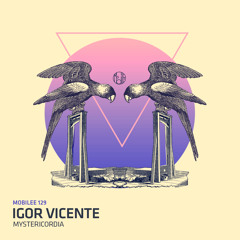 Igor Vicente - Mystericordia (Rodriguez Jr. Remix - Preview)