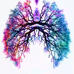 Breathe (Pink Floyd Acoustic  Cover)