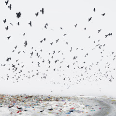 C L N K - Zombie Mechanic