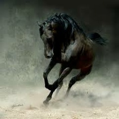 Dj Sank & Dj KevinStyle - Dark Horse - (6 - 12 - 8)demoo