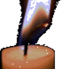 Panon hideung-sophiarevena