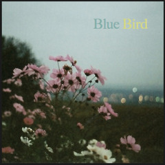 BlueBird (JazzPianoTrio)