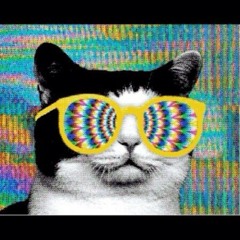 もんだいがい / FUTURE FUNK