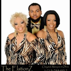 The ElationZ Secure 01 Secure (Vocals) Pop