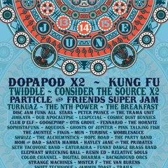 2014 Disc Jam Music Festival