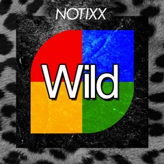 WILD (OUT NOW ON BANDCAMP)