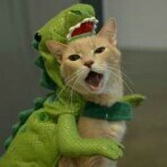 Rappin Hood Vida Bandida at Rappin Hood