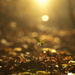 typ0 - New Beginning
