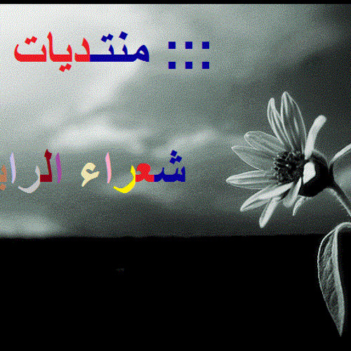 الرادود محمد بوجبارة - يا غضبة الله