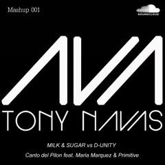 Milk & Sugar Vs D-Unity - Canto Del Pilon Feat. Maria Marquez  & Primitive (Tony Navas Mashup 001)