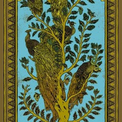 Om "Meditation is the Practice of Death" (Live 2014-04-18 Phx, AZ)