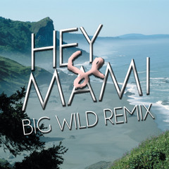 Sylvan Esso - Hey Mami (Big Wild Remix)