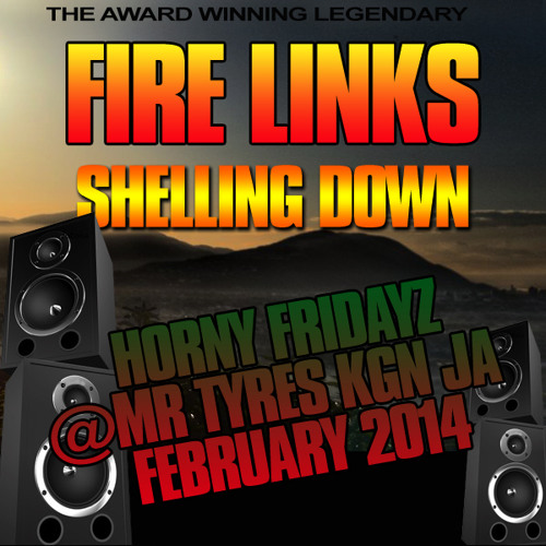 FIRE LINKS SHELLING DOWN HORNY FRIDAYZ@MR TYRES FEB2014