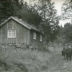 Avskjedskauken etter Aslaug Mølnvik (Tradisjonell)