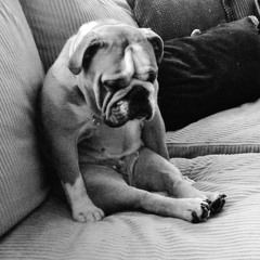 Simple Being Contemplates Complex Existence