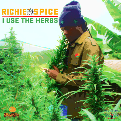 Richie Spice (I Use The Herbs) MANGOTREEENT-BARE FRUITS RECORDS 2014