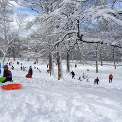 Snow Day Adventure