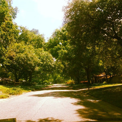 'Johanna' from SWEENEY TODD (trumpet)