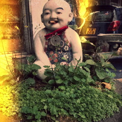 Blowing In The Wind (Bob Dylan Cover)