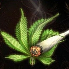 04- LA VERDE ES VIDA- -TINTA PRESO FEAT SURFIGAMA ESCUADRON RESISTE (AUDIO ORIGINAL)