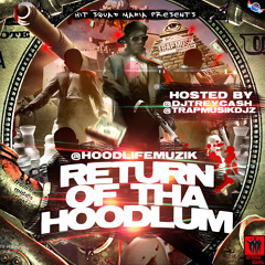 Trust N My Gun - HoodLife