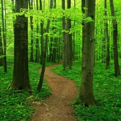 Eloquent Distance