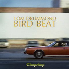 Bird Beat (9 Number Edit)