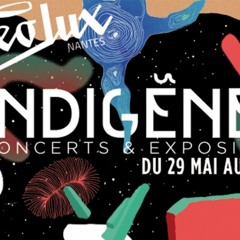Festival INDIGÈNES 2014 - Stereolux (Version Papier playlist)