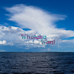 The Rey-Tones - Whatcha Want