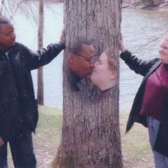 jlhvtyc